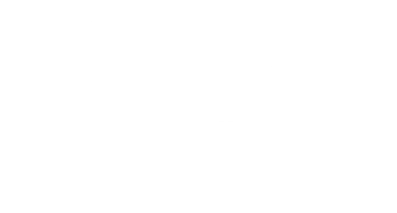Oeconomus